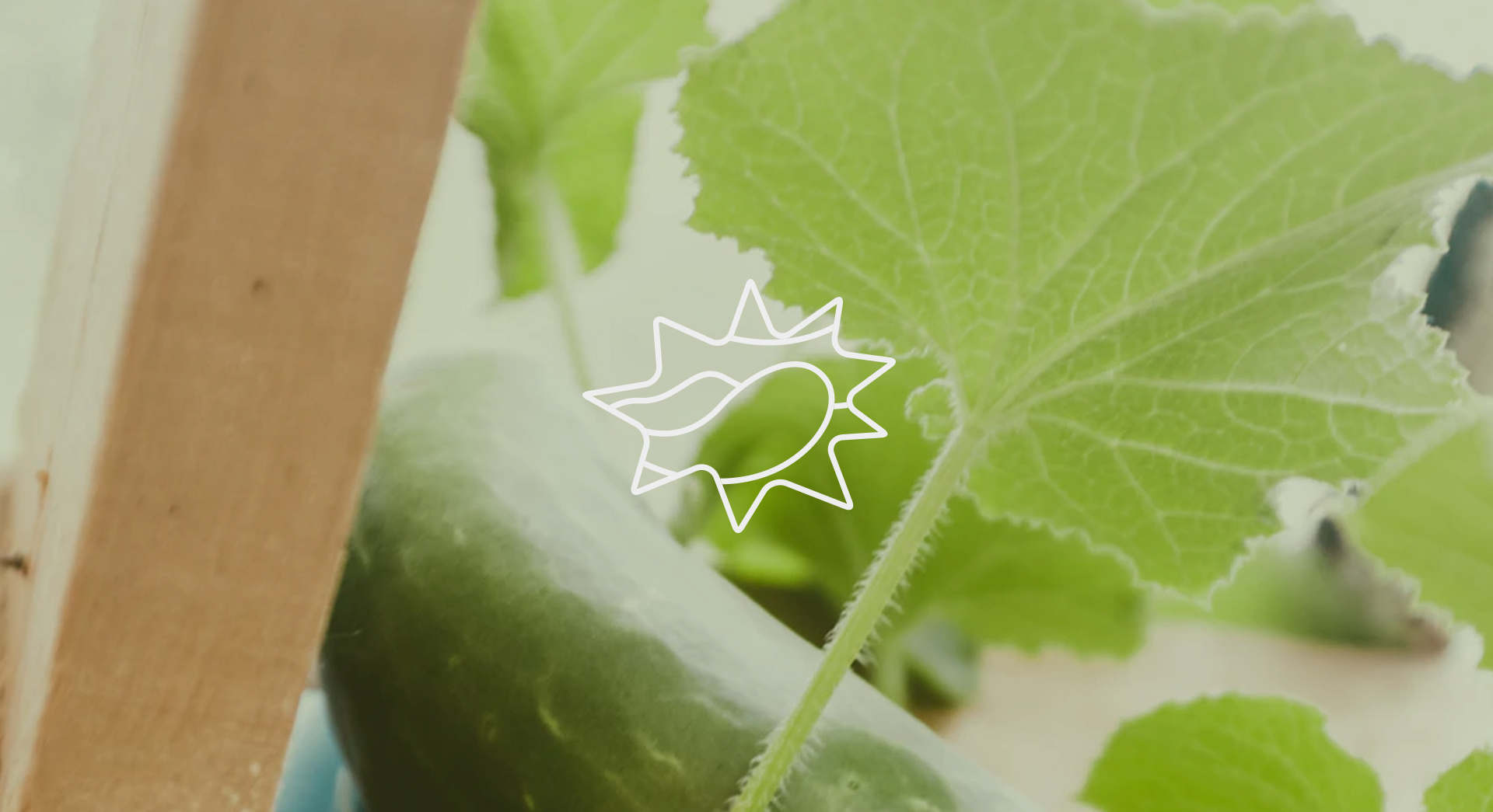 深圳创新创业大赛第九届国际赛报名启动 最高奖励150万元